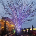 참가 유저 프로필