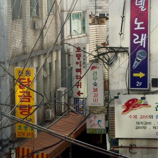 피드 이미지