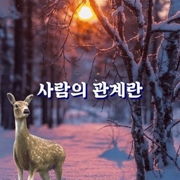 피드에 업로드 된 이미지