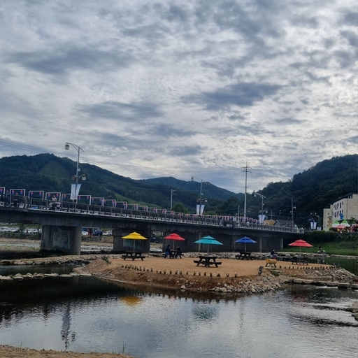 피드 이미지
