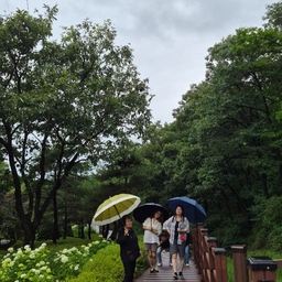 피드에 업로드 된 이미지