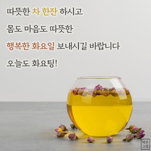 피드 이미지
