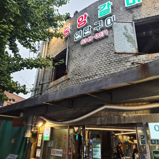 피드 이미지