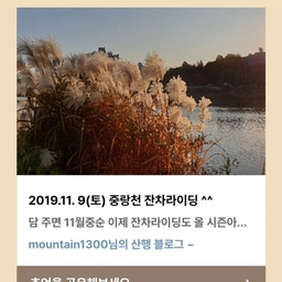 피드에 업로드 된 이미지