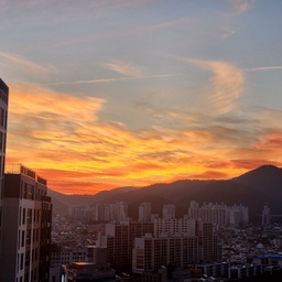 피드에 업로드 된 이미지