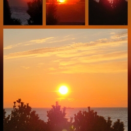 피드에 업로드 된 이미지