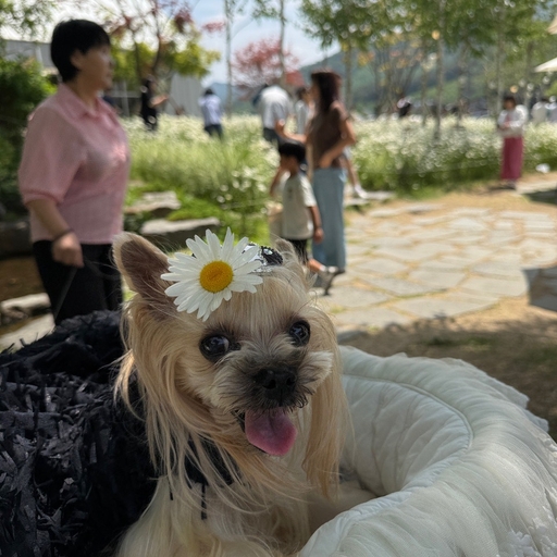 피드 이미지