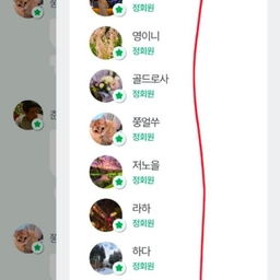 피드에 업로드 된 이미지