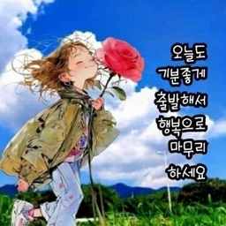 피드에 업로드 된 이미지