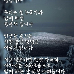 피드에 업로드 된 이미지
