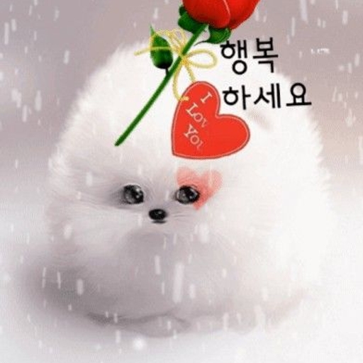 피드 이미지