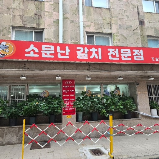 피드 이미지