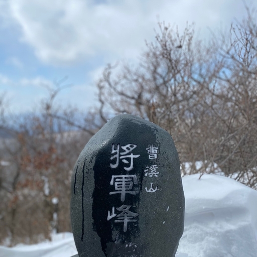 피드 이미지