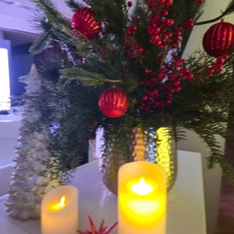 피드에 업로드 된 이미지