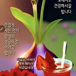 피드에 업로드 된 이미지