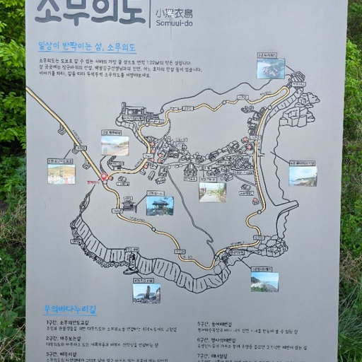 피드 이미지
