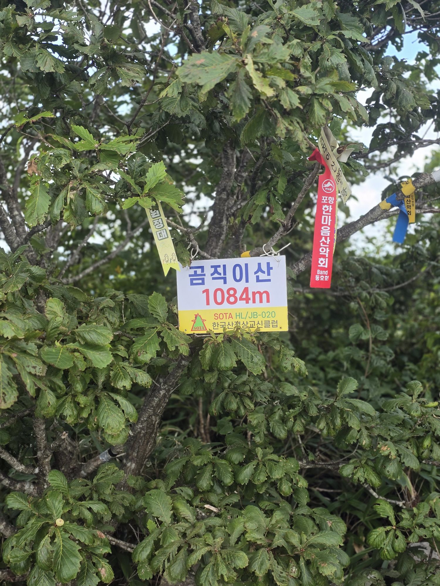 피드 이미지
