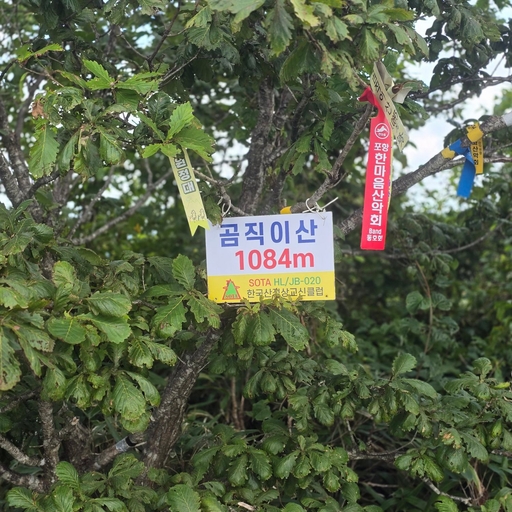 피드 이미지