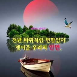 피드에 업로드 된 이미지