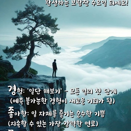 피드 이미지