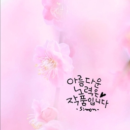 피드에 업로드 된 이미지