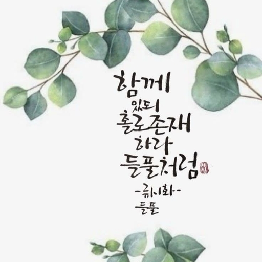 피드 이미지