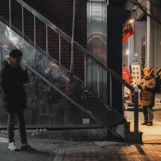 피드 이미지