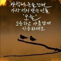 피드에 업로드 된 이미지