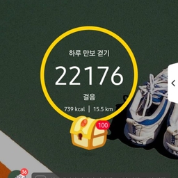 피드에 업로드 된 이미지