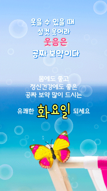 피드에 업로드 된 이미지