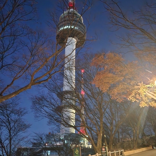 피드 이미지
