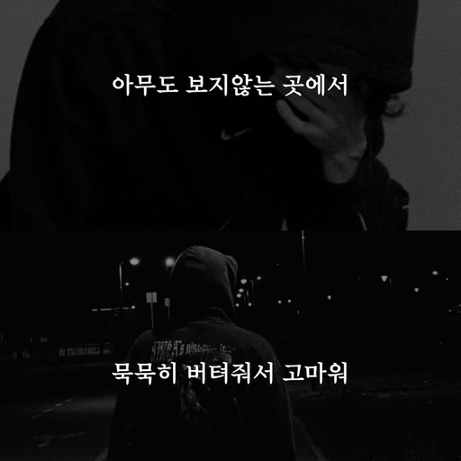 피드 이미지