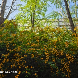 피드에 업로드 된 이미지