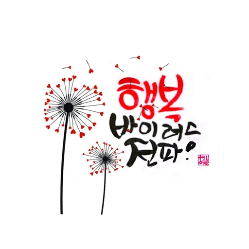 피드 이미지