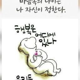 피드에 업로드 된 이미지