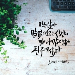 피드에 업로드 된 이미지
