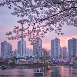 피드에 업로드 된 이미지