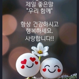 피드에 업로드 된 이미지