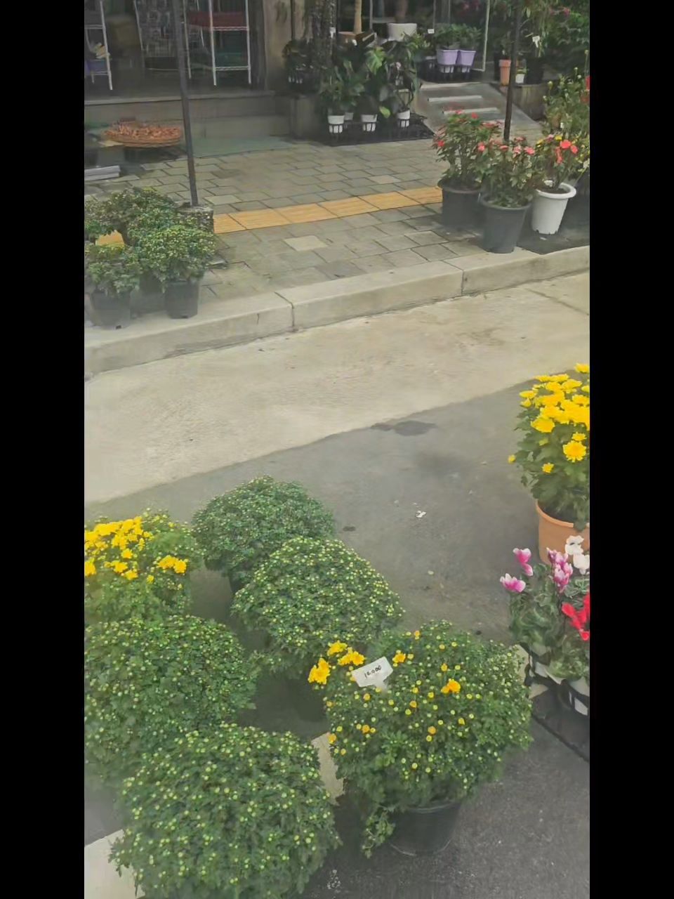 피드 이미지