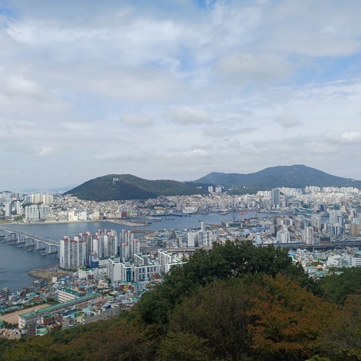 피드 이미지
