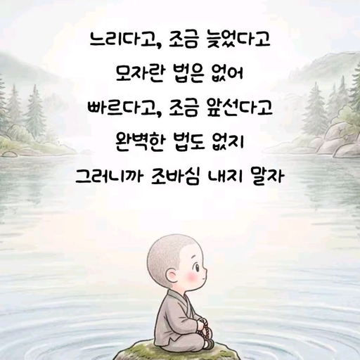 피드 이미지