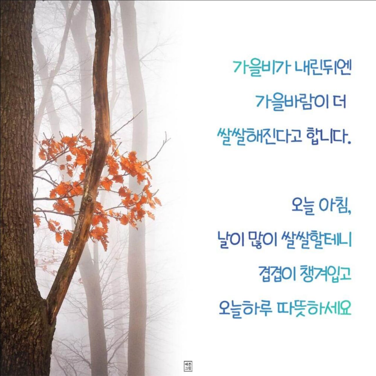피드 이미지