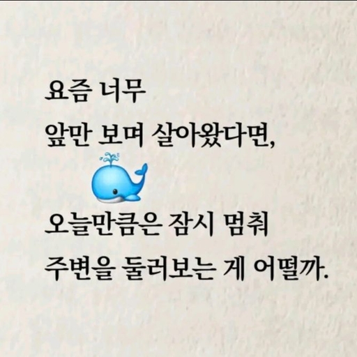 피드 이미지