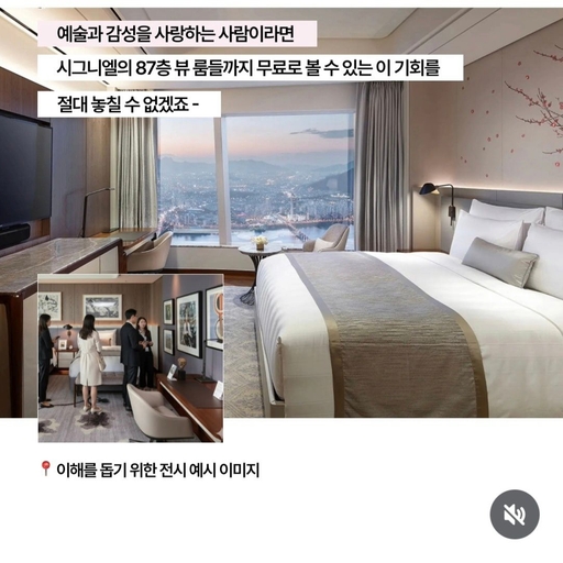 피드 이미지