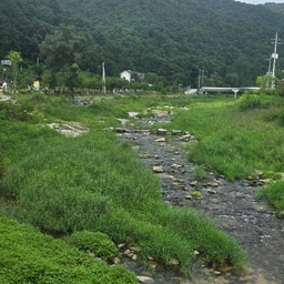피드에 업로드 된 이미지