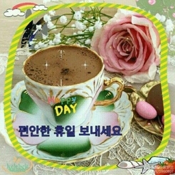 피드에 업로드 된 이미지