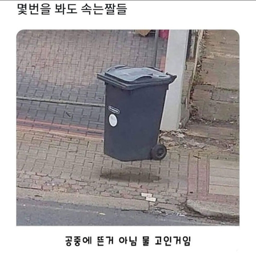 피드 이미지