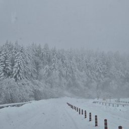 ํผ๋์ ์
๋ก๋ ๋ ์ด๋ฏธ์ง