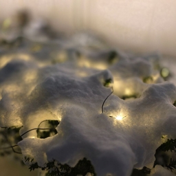 피드에 업로드 된 이미지