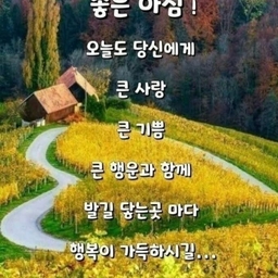 피드에 업로드 된 이미지